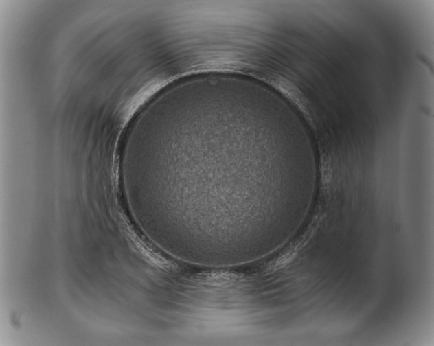 X0000101111077200806261407
