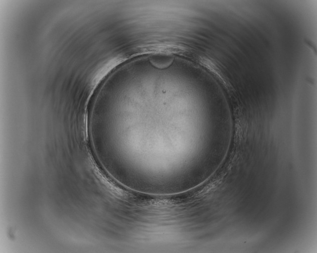 X0000101111079200806261407