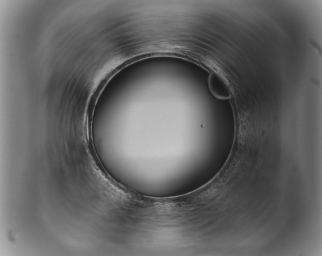 X0000101111080200806261407
