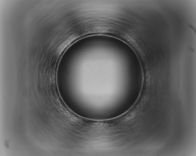 X0000101111081200806261407