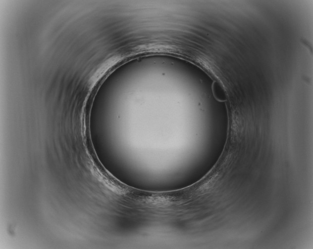 X0000101111082200806261407