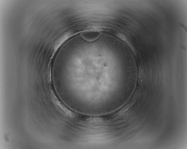 X0000101111083200806261407