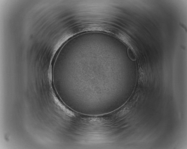 X0000101111084200806261407