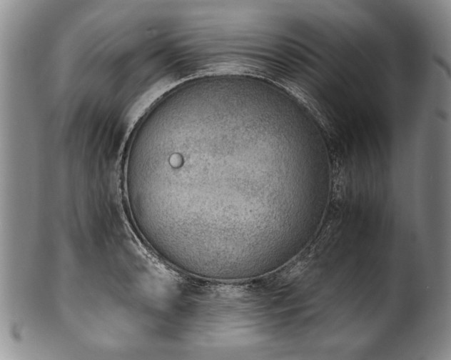 X0000101111086200806261407