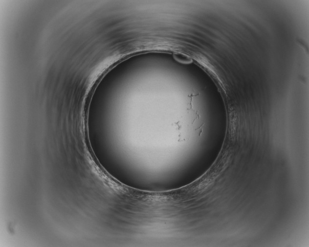 X0000101111088200806261407