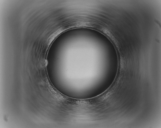 X0000101111089200806261407