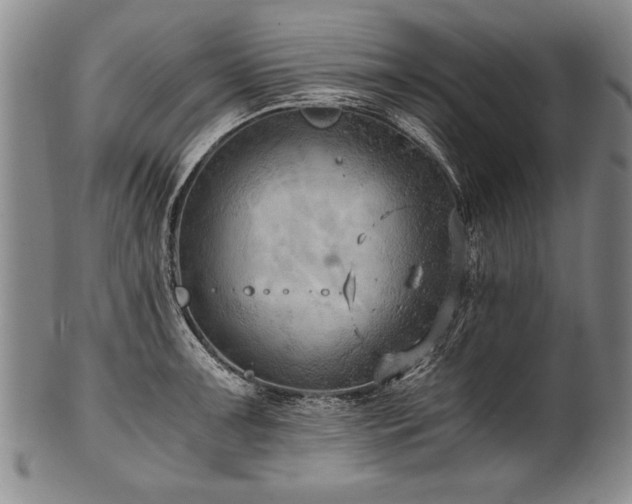 X0000101111091200806261407