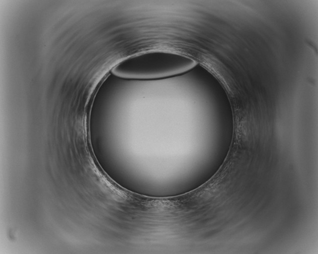 X0000101111092200806261407