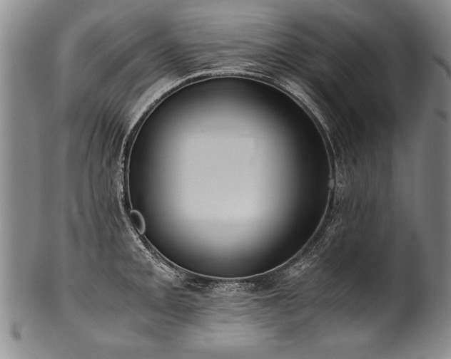 X0000101111093200806261407