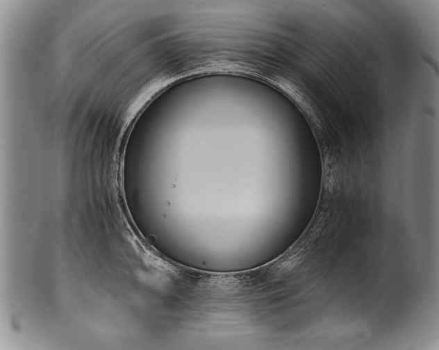 X0000101111094200806261407