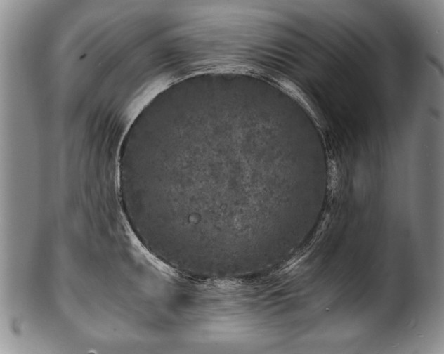 X0000101111095200806261406