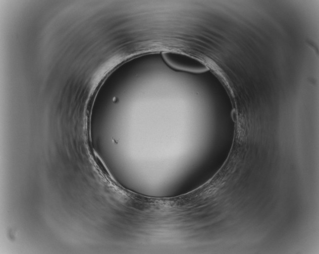 X0000101111096200806261406