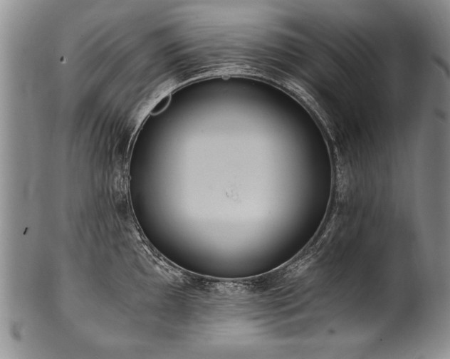 X0000101111097200806261406