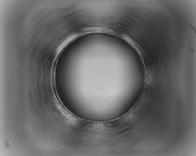 X0000101111098200806261406