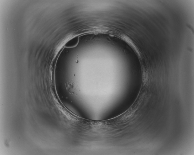 X0000101111099200806261406