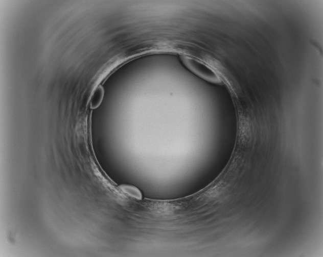 X0000101111100200806261406