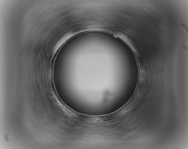 X0000101111101200806261406