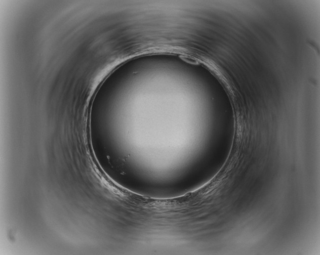 X0000101111102200806261406