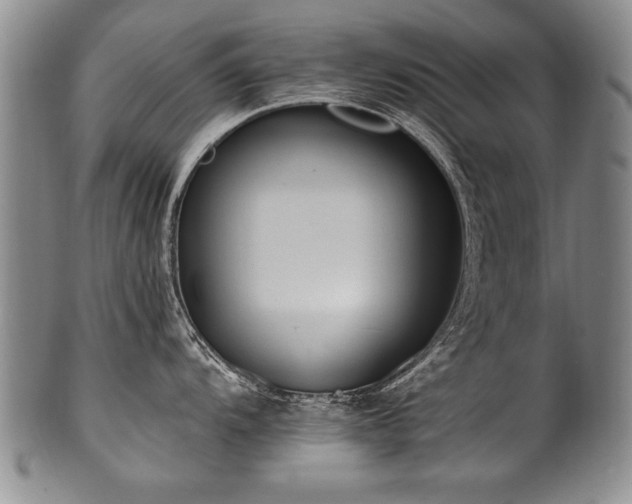 X0000101111104200806261406
