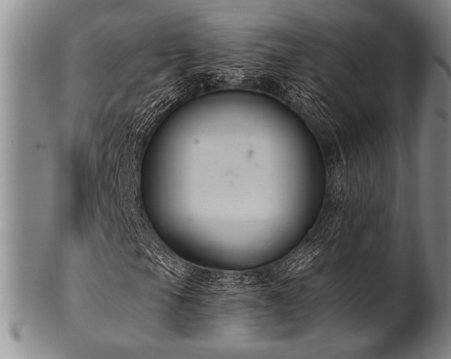 X0000101111105200806261406