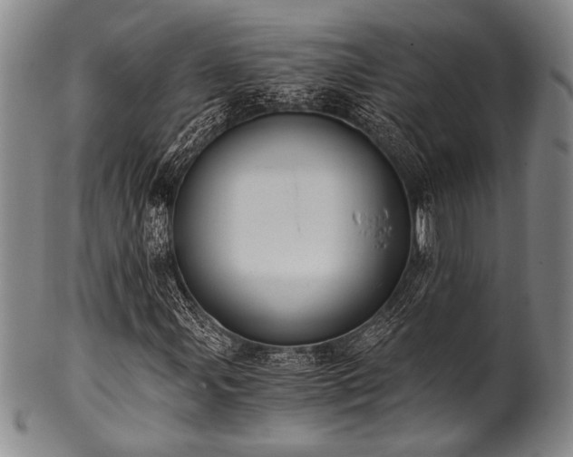 X0000101111107200806261406