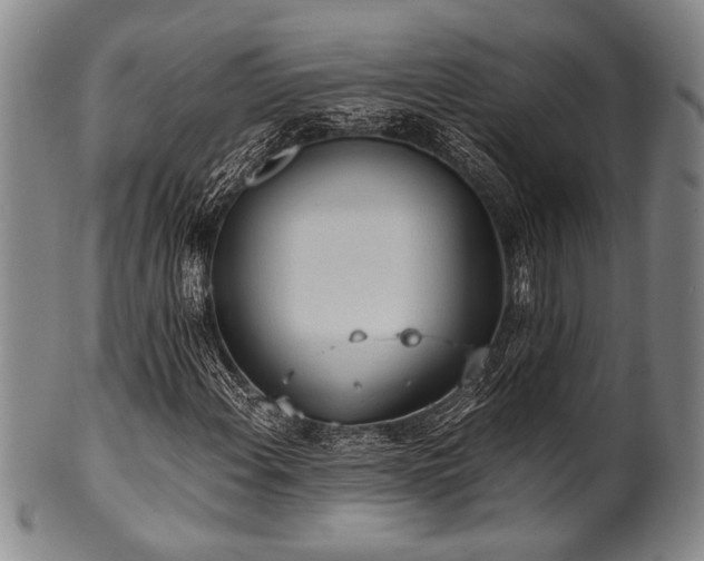 X0000101111108200806261406