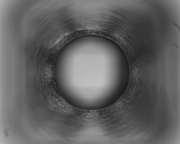 X0000101111110200806261406