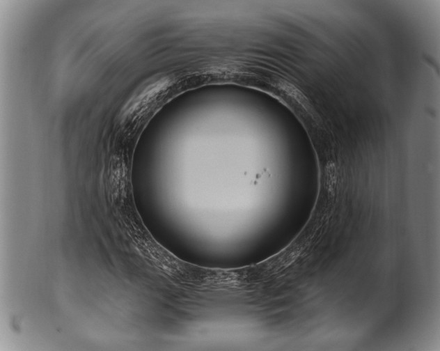 X0000101111111200806261406