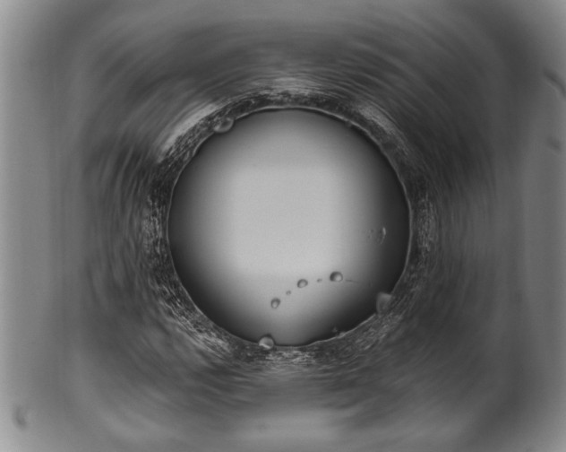 X0000101111112200806261406