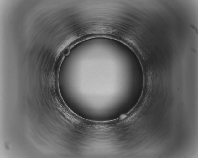 X0000101111114200806261406