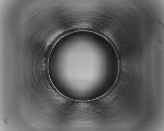 X0000101111115200806261406