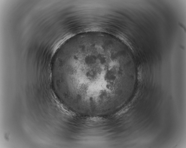 X0000101111117200806261406