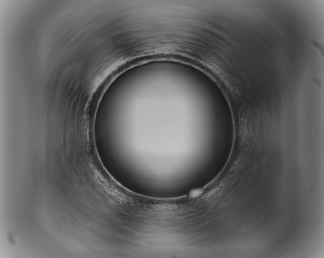 X0000101111118200806261406