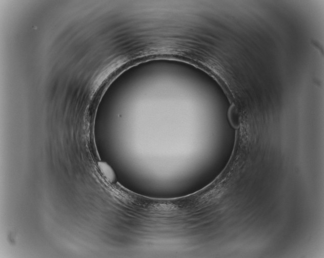 X0000101111119200806261406