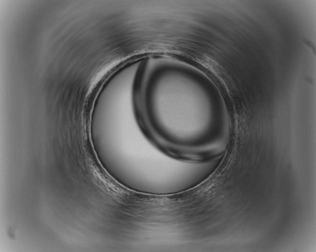 X0000101111120200806261406