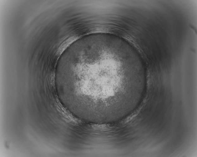 X0000101111121200806261406