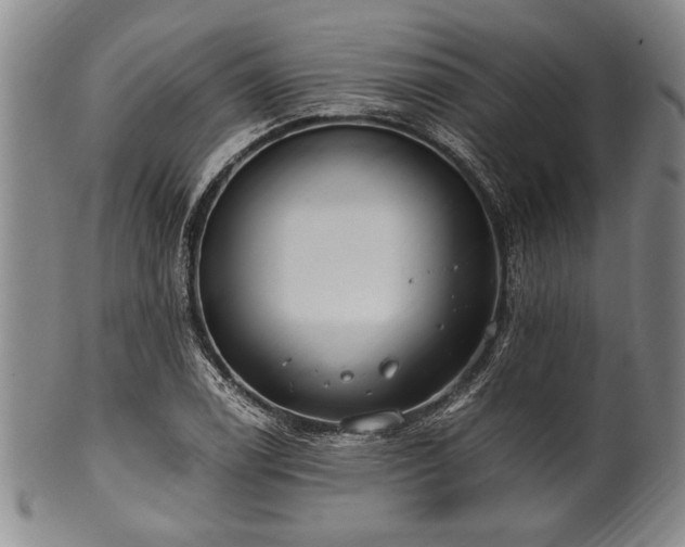 X0000101111122200806261406