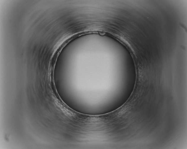 X0000101111124200806261406