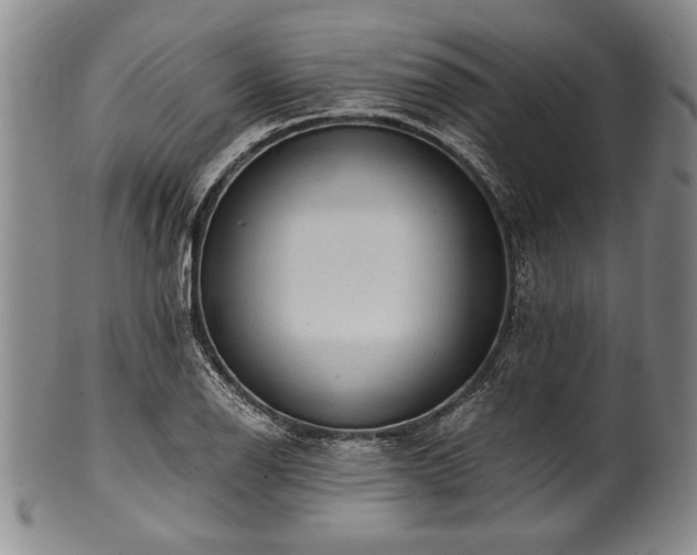 X0000101111126200806261406