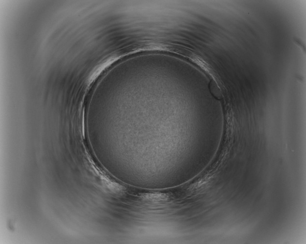 X0000101111127200806261406