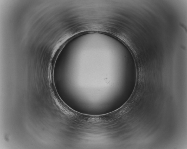 X0000101111128200806261406