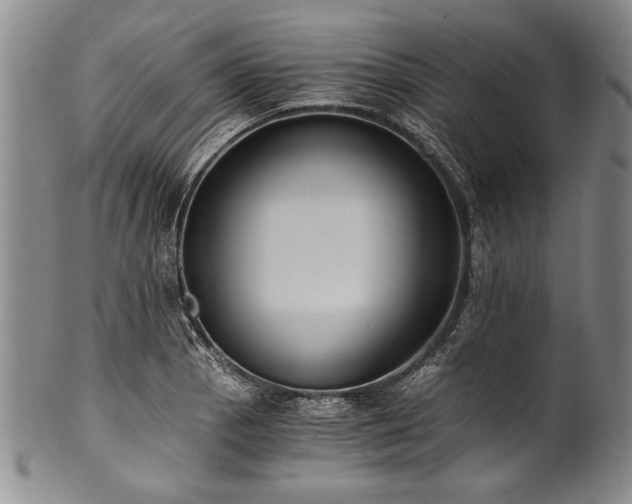 X0000101111129200806261406