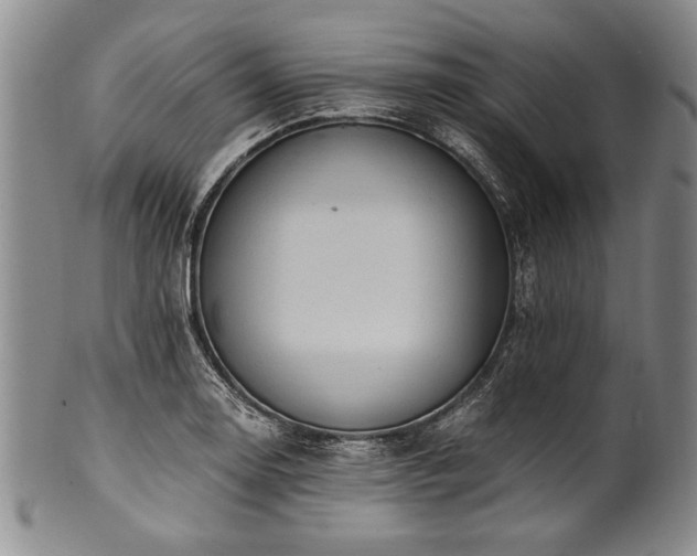 X0000101111130200806261406