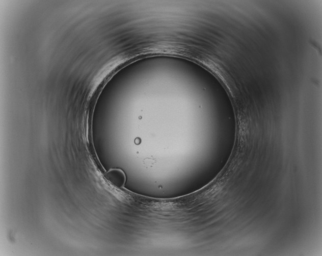 X0000101111131200806261406