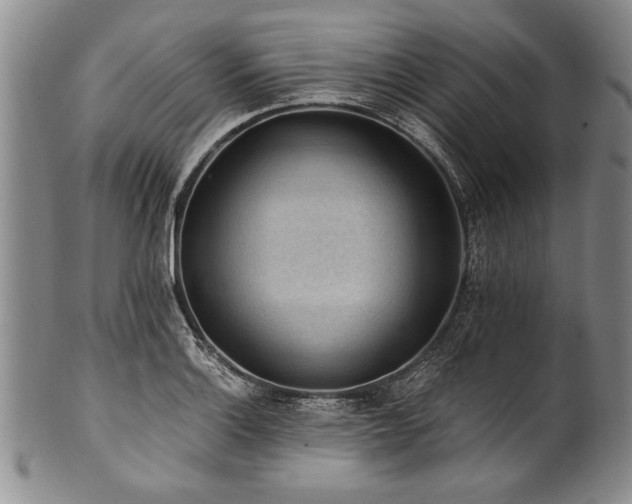 X0000101111132200806261406
