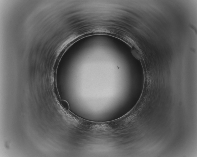 X0000101111133200806261406