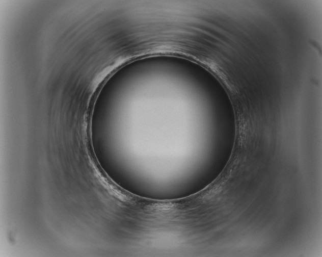 X0000101111134200806261406