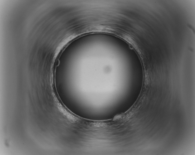X0000101111136200806261406