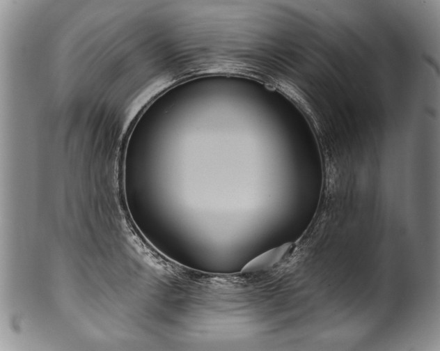 X0000101111138200806261406