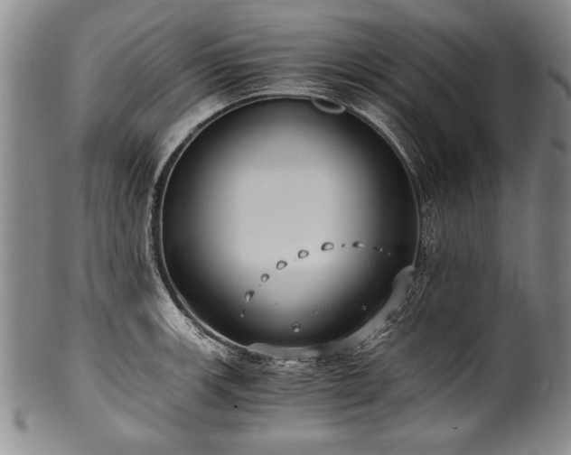 X0000101111139200806261406
